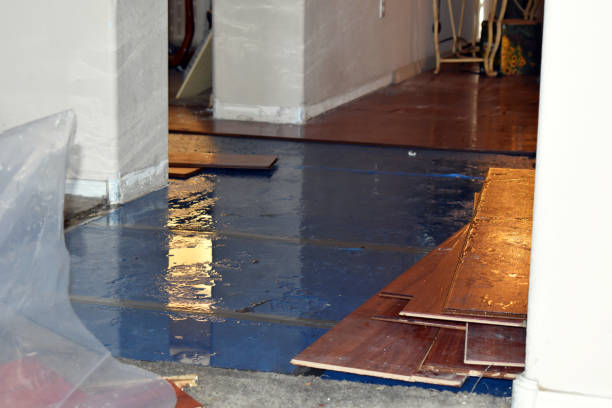 Professional Flood Cleanup technician working in Okemos, MI